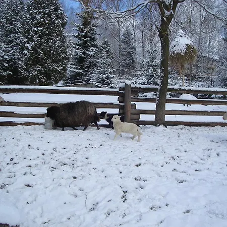 Perlyna Karpat Slavske