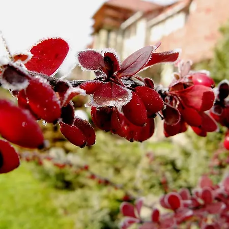 Perlyna Karpat Slavske