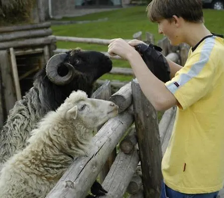 Perlyna Karpat Ośrodek wypoczynkowy Sławsko