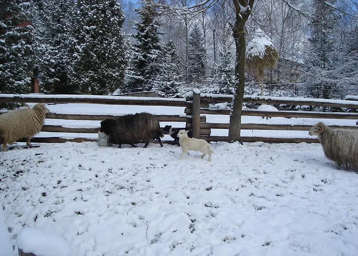 Perlyna Karpat Slavske